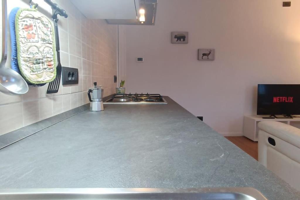 Ferienwohnung Vicino Zoncolan+Netflix E Wifi Treppo Carnico Exterior foto
